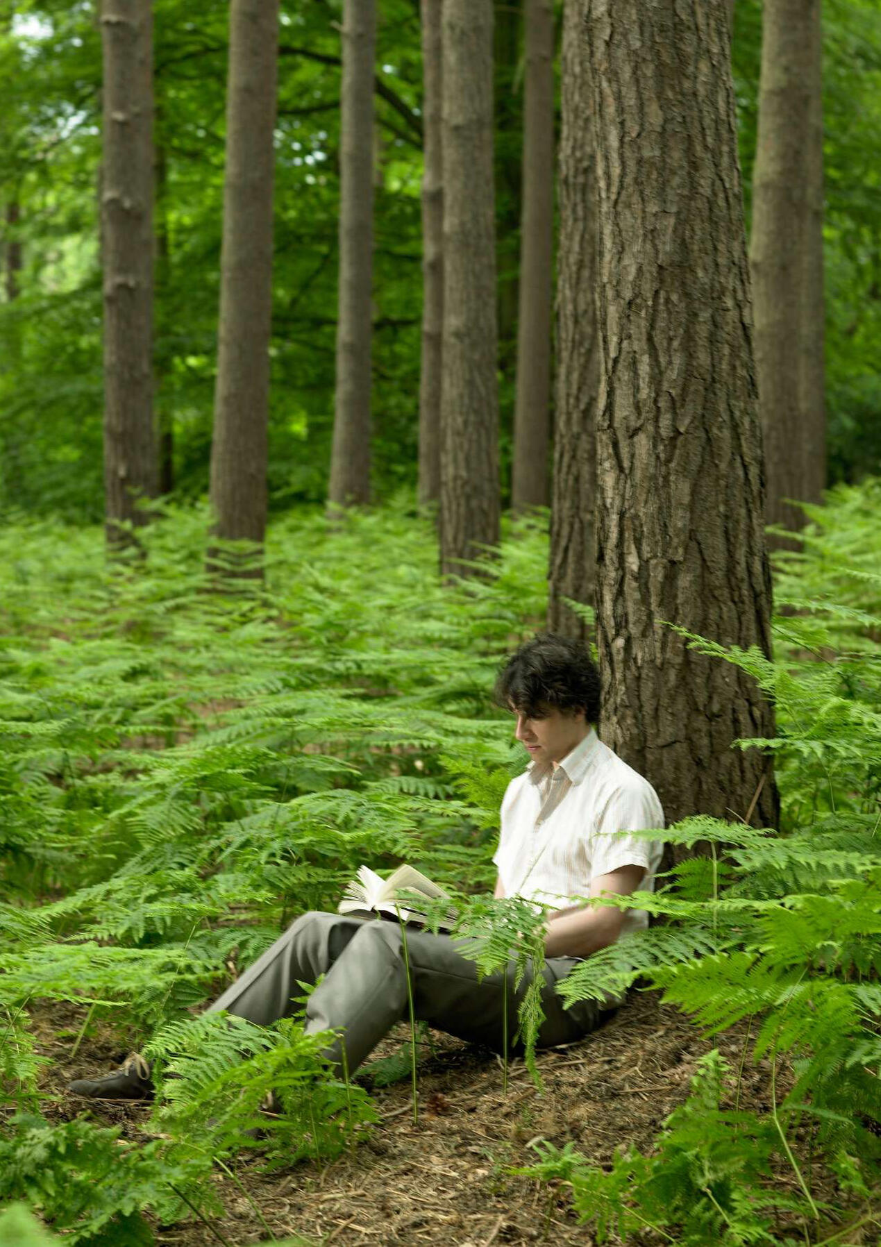 man reading in the forest